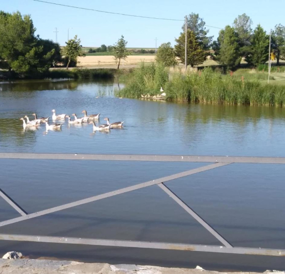 Lago tranquilo en Castilla